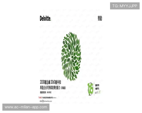 未来之星：新人连续五场20+，竞争激烈！，未来之星怎么解释