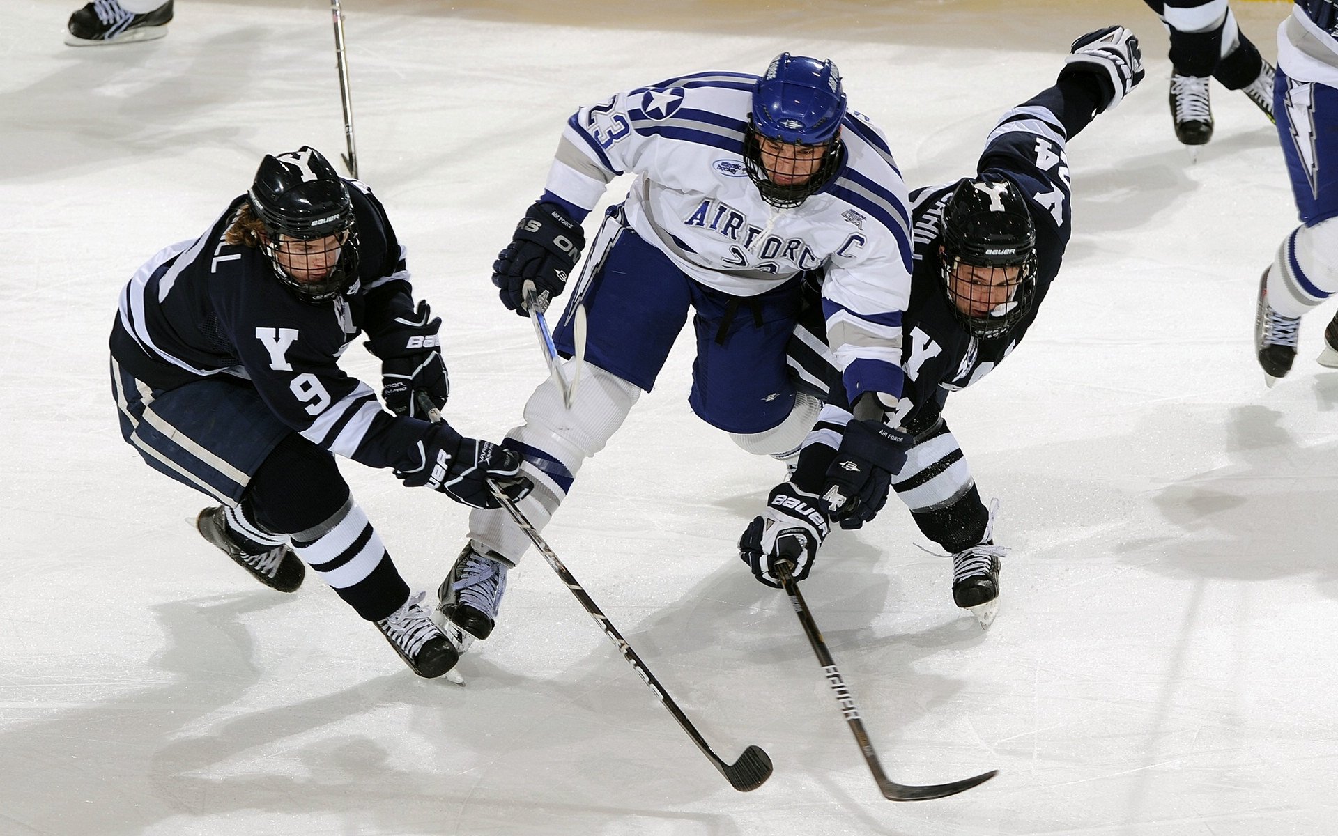 大卫·波波维奇100米自由泳技术细节解析,波波夫自由泳视频