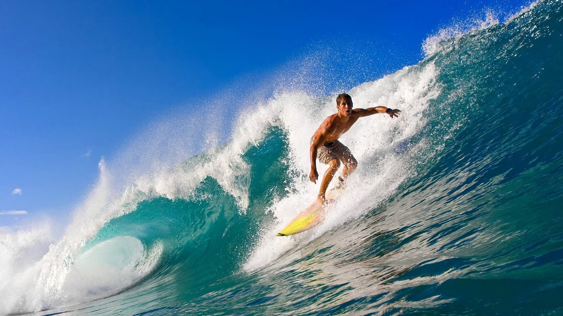 自由泳接力希腊配合默契取胜,自由泳接力破纪录
