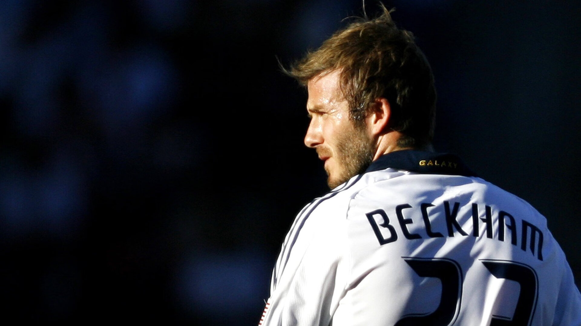 MILAN SPORTS中国站-荷兰仰泳技术细节打磨到位，仰泳speedo